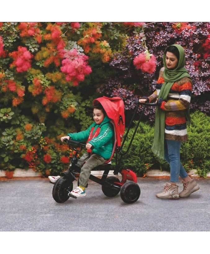 سه چرخه کودک دلیجان مدل لوتوس lotus