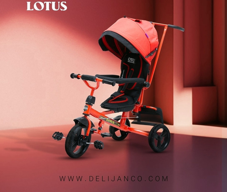 سه چرخه کودک دلیجان مدل لوتوس lotus