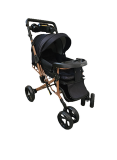 کالسکه دلیجان مدل بنیتا benita stroller